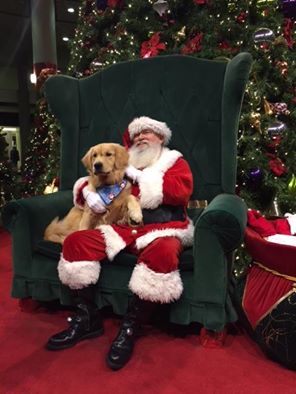 santa and a big dog